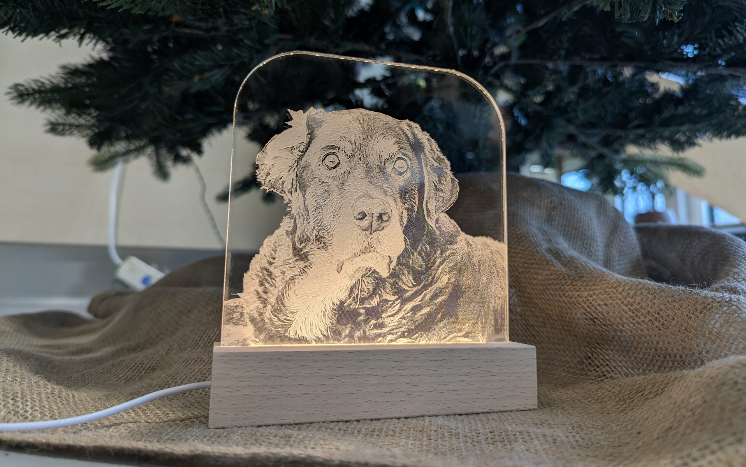 Gepersonaliseerde plexiglas lamp met hond of kat als warm en stijlvol aandenken